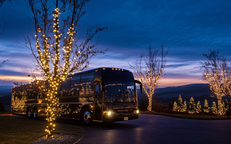 Wine, Dine & Travel: Book a Christmas Lights Tour with Our Coaches!